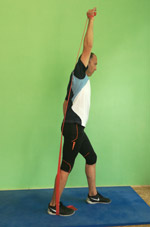 Theraband Krafttraining Triceps